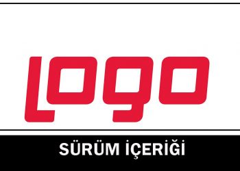 Logo muhasebe programı nedir