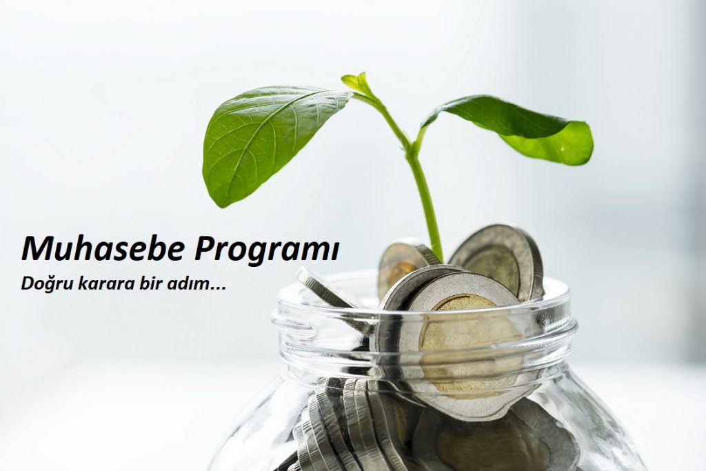 logo muhasebe programı fiyat bilgisi