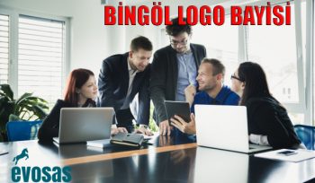 Bingöl bilgisayar firmaları,Bingöl logo destek,Bingöl logo devir işlemi,Bingöl logo iş ortağı,Bingöl logo muhasebe programı,
