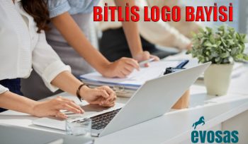 Bitlis bilgisayar firmaları,Bitlis logo destek,Bitlis logo devir işlemi,Bitlis logo iş ortağı,Bitlis logo muhasebe programı,