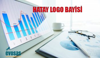 hatay bilgisayar firmaları,hatay logo destek,hatay logo devir işlemi,hatay logo iş ortağı,hatay logo muhasebe programı,