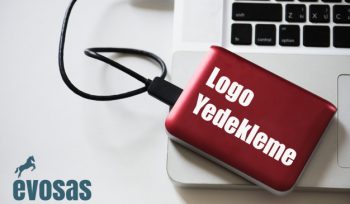 logo muhasebe programı yedek alma