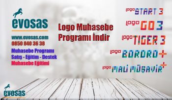 logo muhasebe programı indir