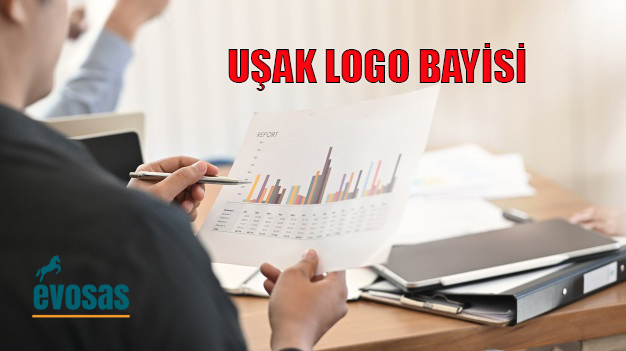 Uşak bilgisayar firmaları,Uşak logo destek,Uşak muhasebe iş ilanı,Uşak logo iş ortağı,Uşak logo muhasebe programı,