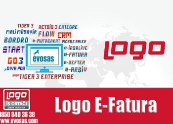 logo e-fatura sık sorulan sorular