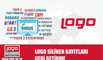 Logo Silinen Kayıtları Geri Getirme