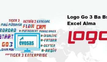 Logo Go 3 Ba Bs Excel Alma
