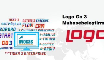 Logo Go 3 Muhasebeleştirme