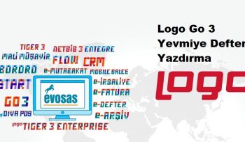 Logo Go 3 Yevmiye Defteri Yazdırma