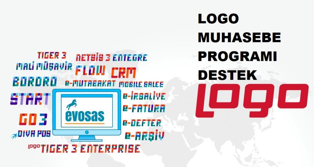 logo muhasebe programı destek