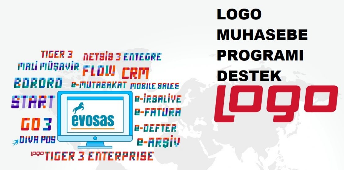 logo muhasebe programı destek